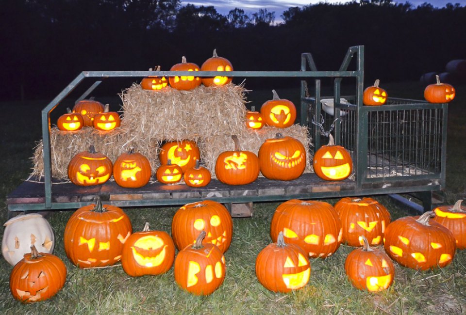 Bask in the glow of the Trail of Jack-O'-Lanterns. Photo courtesy of Green Meadows Farm & Petting Zoo