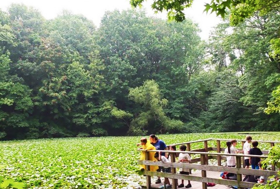 Take in the lush beauty of Staten Island's Greenbelt.