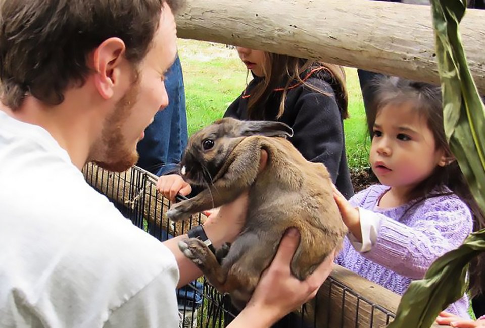 Touch the soft rabbits at the Greenburgh Nature Center's petting zoo in Scarsdale. Photo courtesy of the center