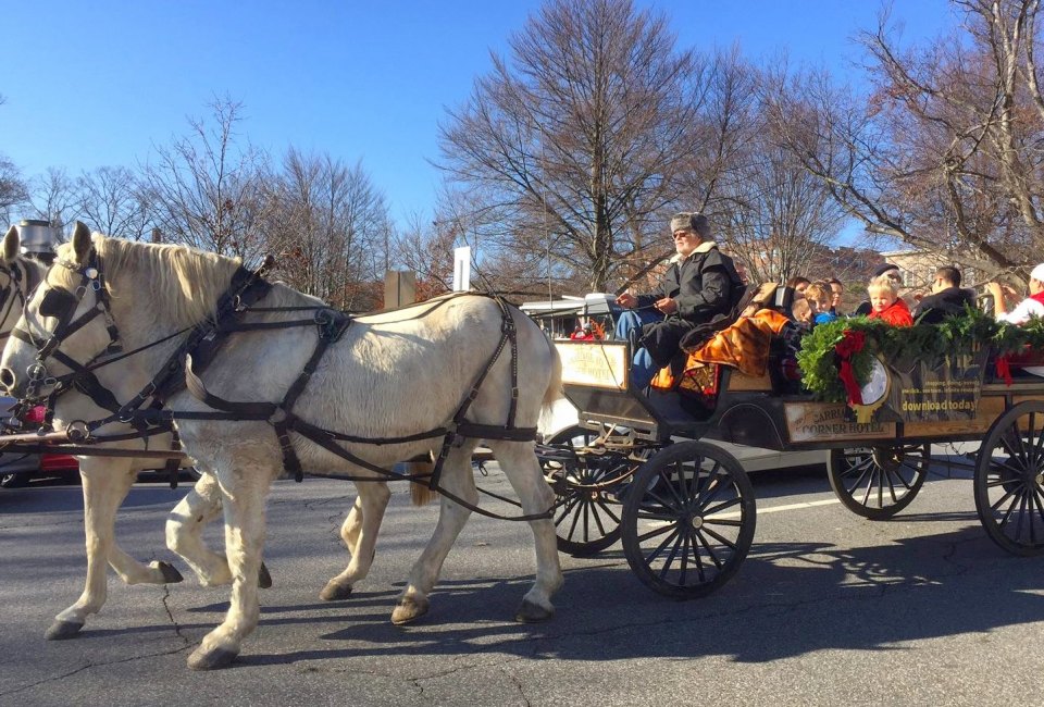 Wagon rides are part of the fun at the Greenwich Reindeer Festival.