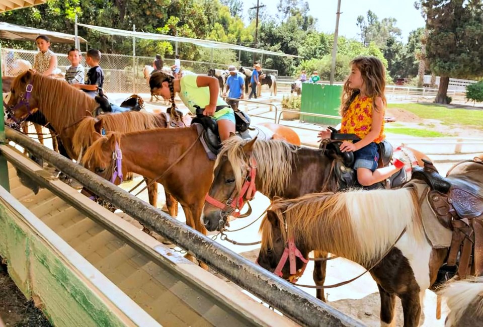 Insider's Guide to Griffith Park: More Things To Do Than Most Angelenos Know! Photo courtesy of LA Department of Recreation and Parks