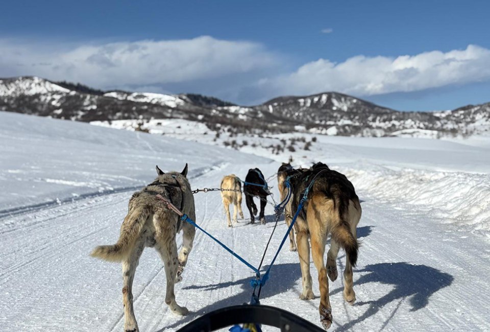 Steamboat Springs with Kids: 23 Great Things To Do in Steamboat Springs, Colorado (Other than Skiing) Join Grizzle-T for a 1/2 Day Adventure along a private trail where you learn how to