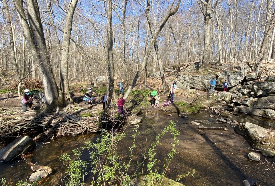 AMC CT Family Hike - Groton Sheep Farm