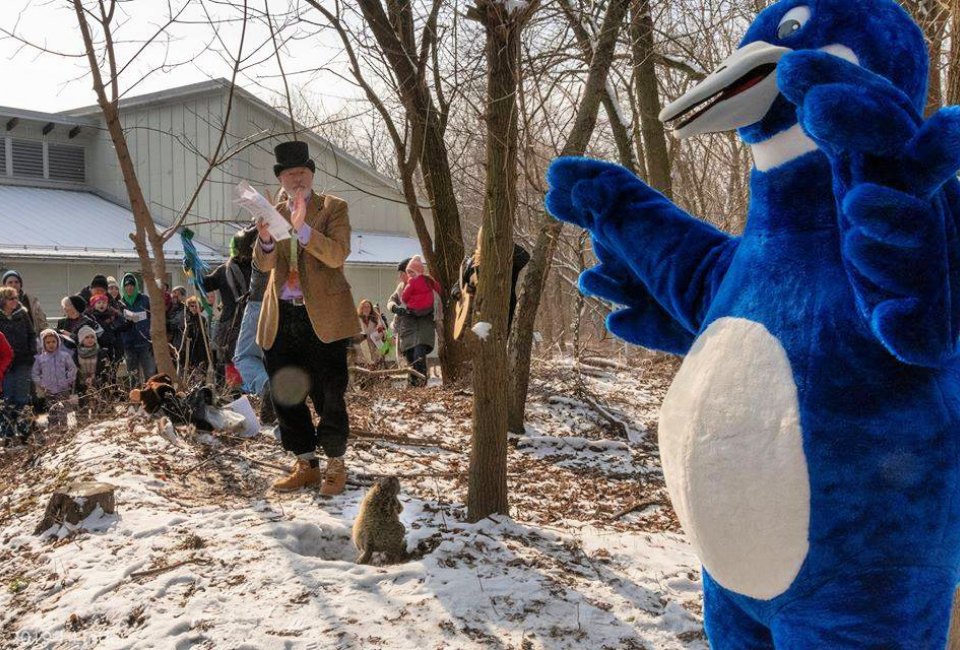 Celebrate Groundhog Day at the John Heinz National Wildlife Refuge. Photo courtesy of the refuge