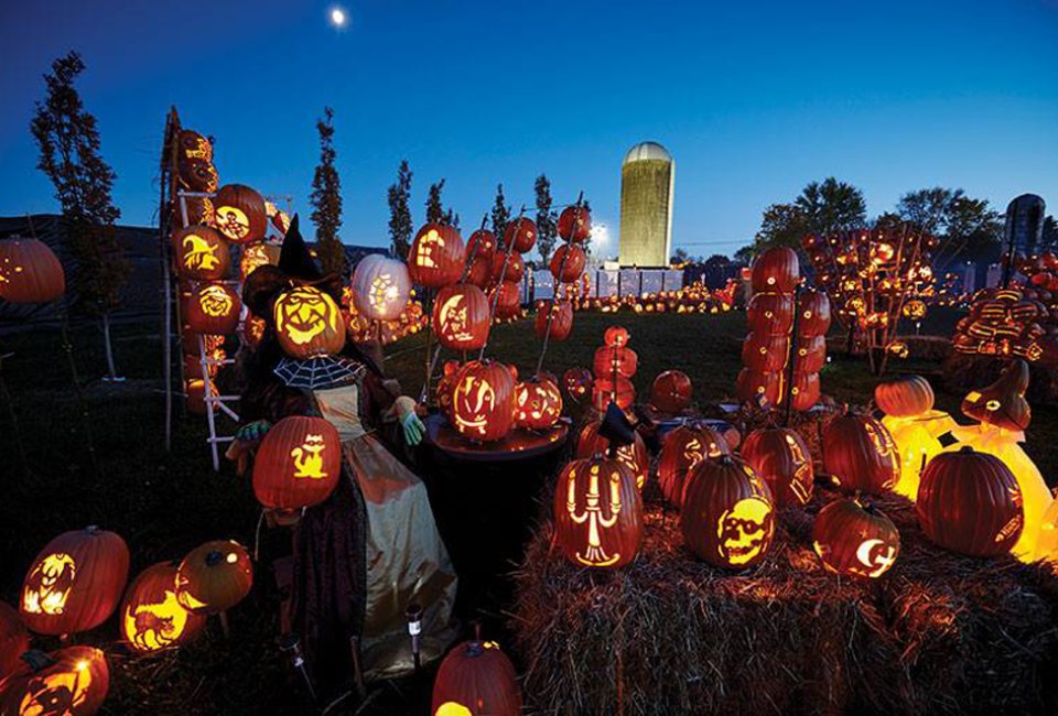 Enjoy an elaborate display of intricate, creative hand-carved, and lit pumpkins at Wagner Farm Arboretum's Brite Nites attraction.  