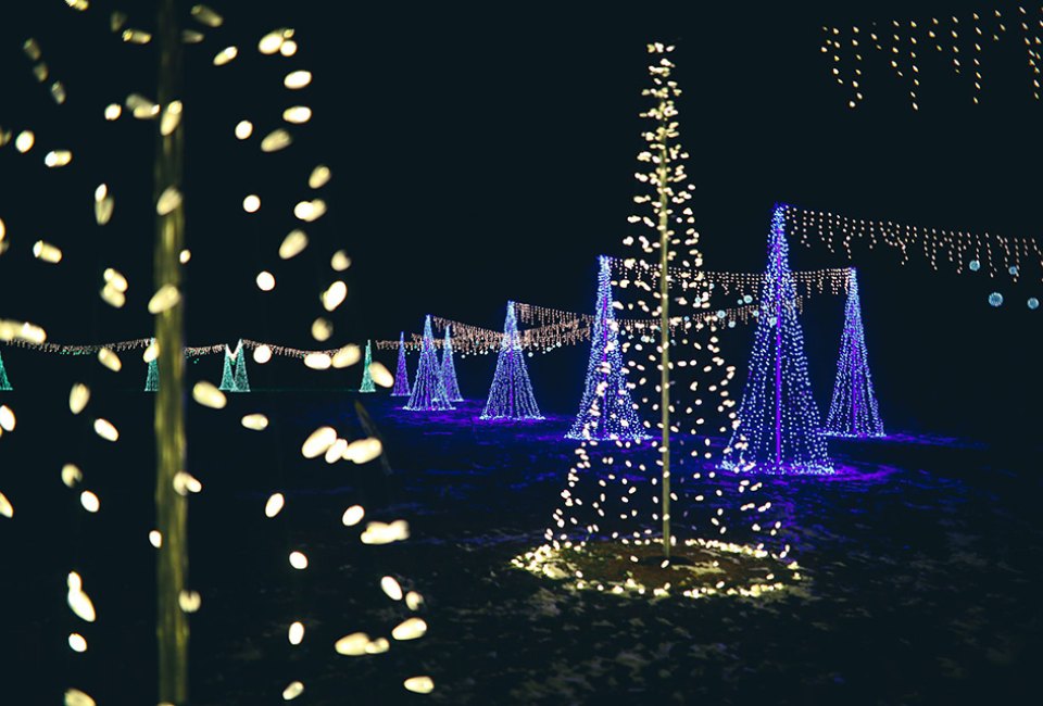 Harbaugh Village: Holiday photo-ops