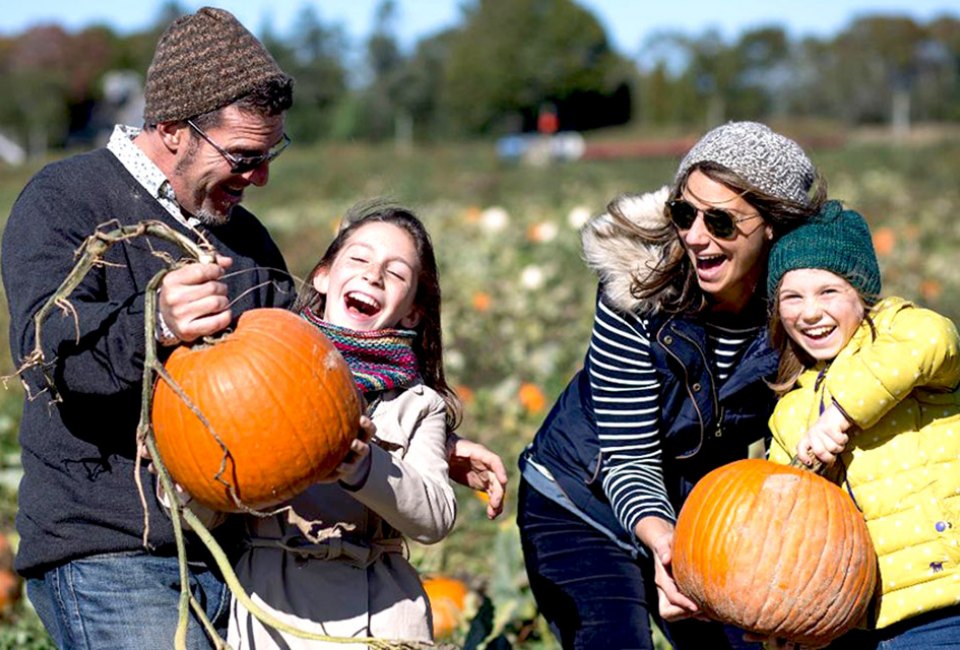 Head to Harbes Family Farm for a day of pumpkin picking and fall fun.  