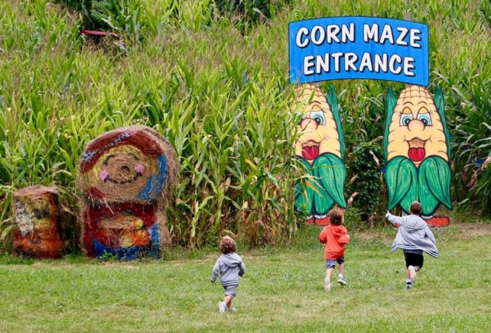 Kids run toward the corn maze at Heaven HIll Farms: Best Corn Mazes NJ