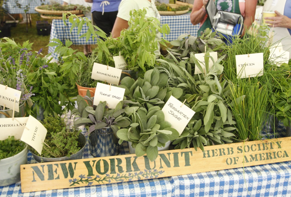Herb Fair & Market