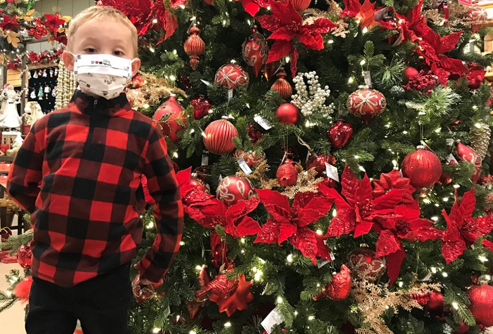 Discover a beautiful holiday-themed photo backdrop at Hicks Nurseries. Photo courtesy of the nursery