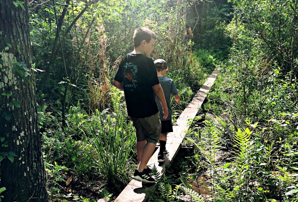 Challenge yourself on the walking beams at Hidden Waters Preserve.