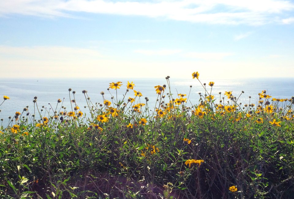 International Women's Day Hike