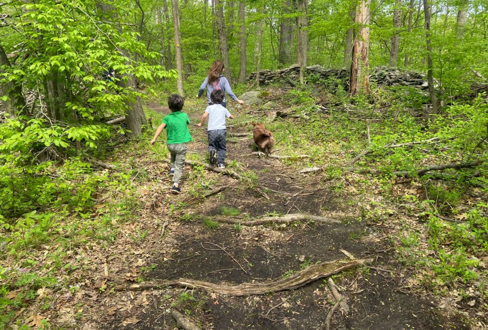 Let your kids loose to run free on the hiking trails right here in NYC. Photo by Sara M.