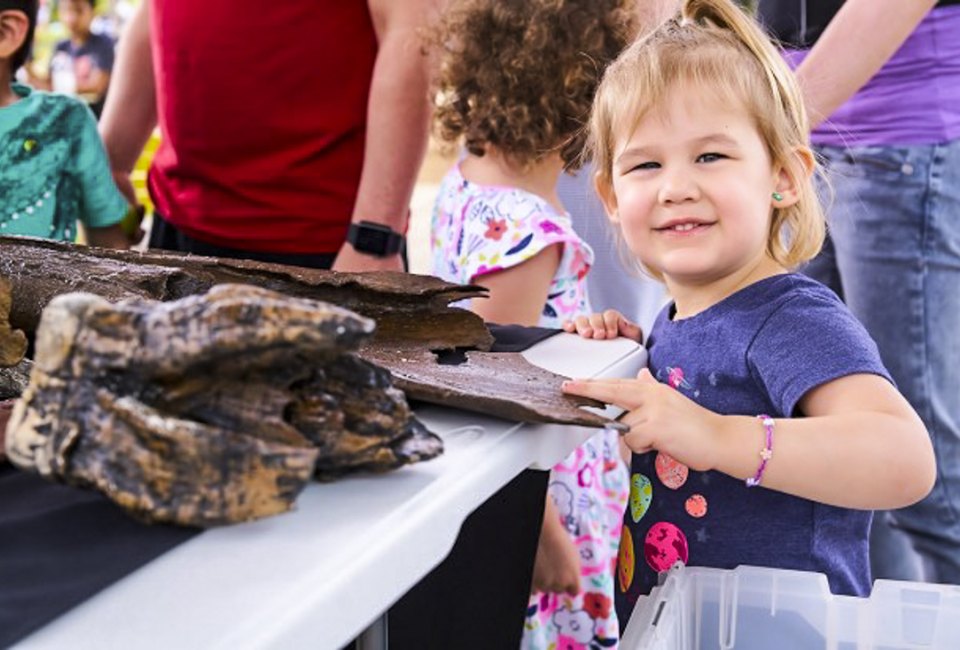 Best of September: Top Things To Do in Houston with Kids Photo courtesy of Levy Park