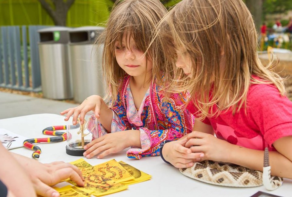 Kids get to combine education with fun and the great outdoors when HMNS comes to Levy Park. Photo courtesy of Levy Park (via Facebook).