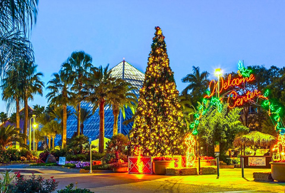 Moody Gardens hosts one of the best holiday events near Houston. Photo courtesy of Moody Gardens