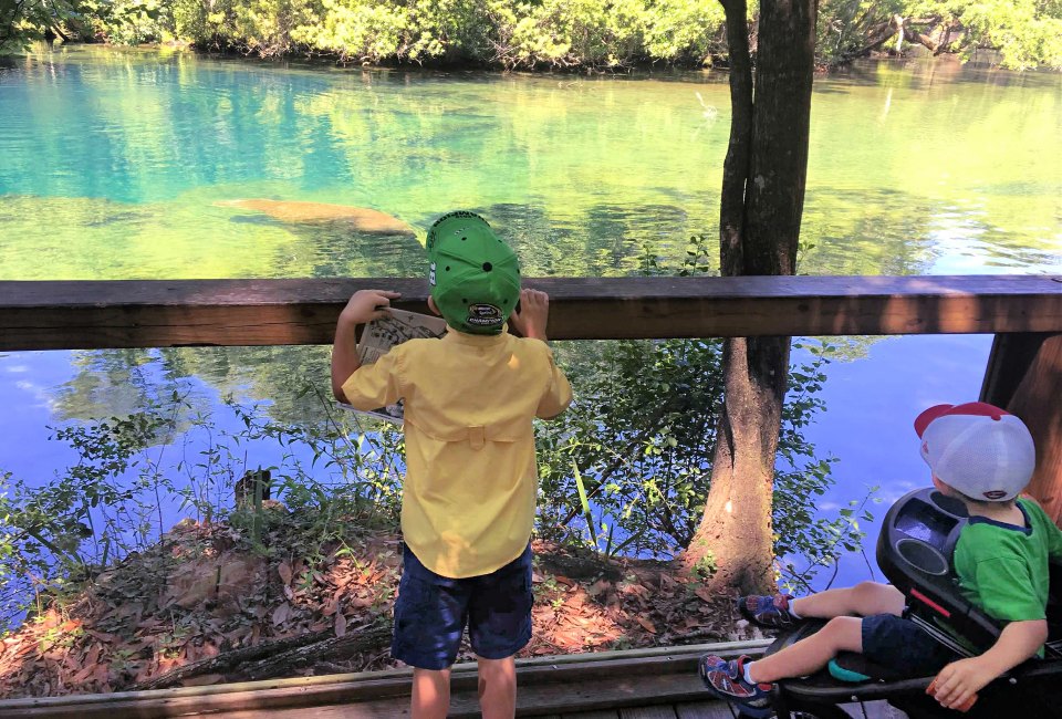 Kids will delight at the sight of these aquatic giants. Photo by Charlotte Blanton