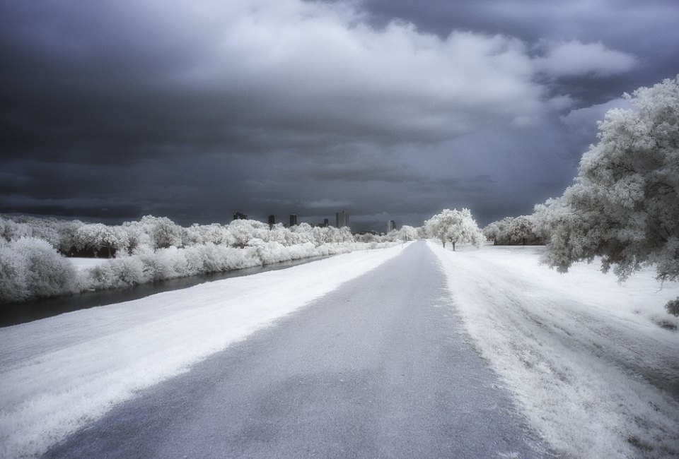 6 Places Families Can Drive in Winter To See Snow 