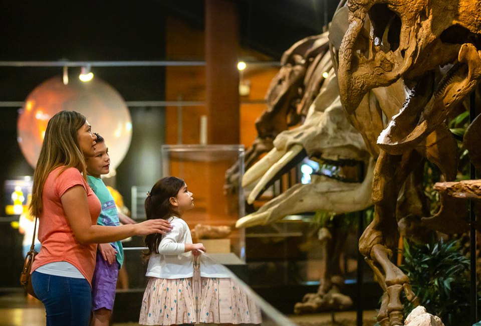 Visit the Hall of Paleontology at the Museum of Natural Science. Photo courtesy of Visit Sugar Land