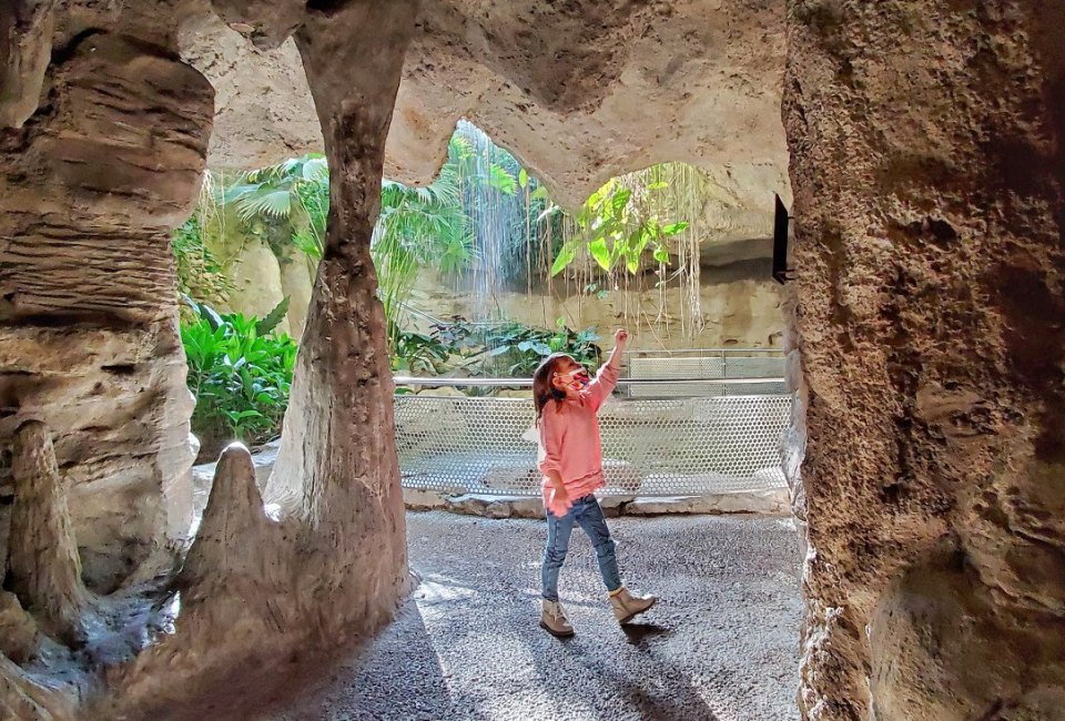 If you haven't been yet, put the Houston Museum of Natural Science on your list for this winter. Photo courtesy of Houston Museum of Natural Science