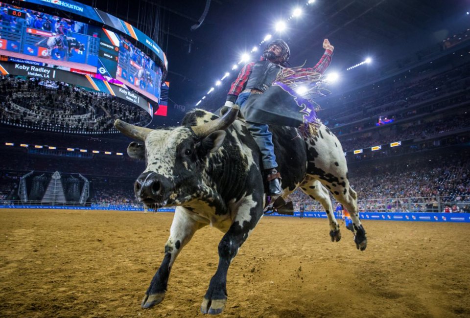 Houston Livestock Show and Rodeo is one of the best things to do in March in Houston. 