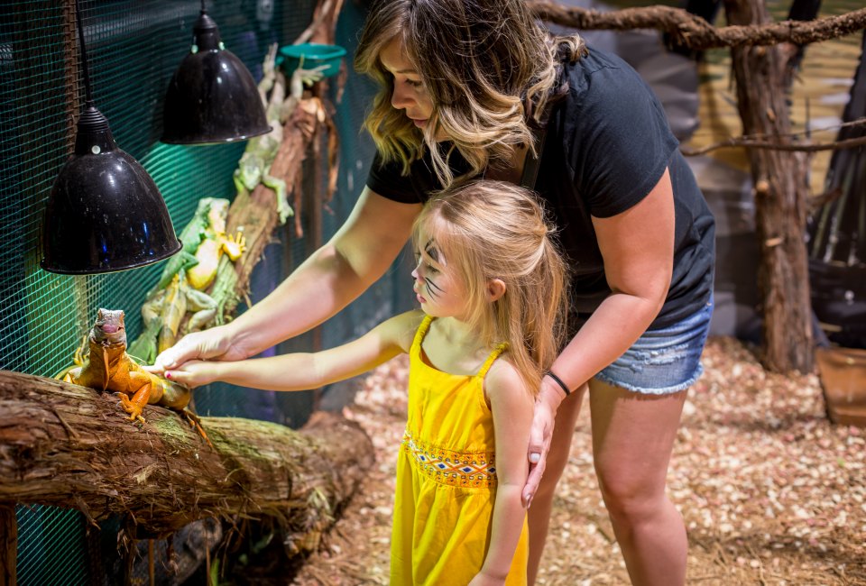 Hands-on animal fun at the upcoming Houston Aquarium and Animal Adventure.