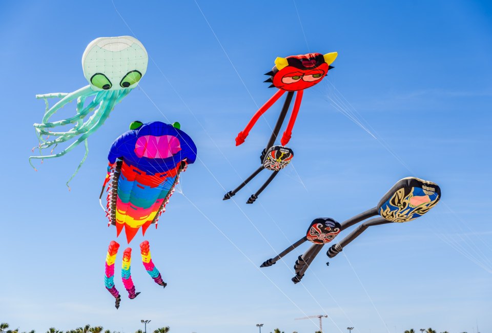 Hudson Valley Kite Fest