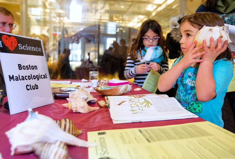 The I Love Science festival encourages hands-on learning. Harvard Museum of Natural History. Photo by Patrick Rogers