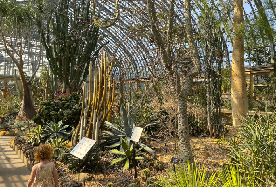 Insider’s Guide to Visiting Garfield Park Conservatory in Chicago with Kids