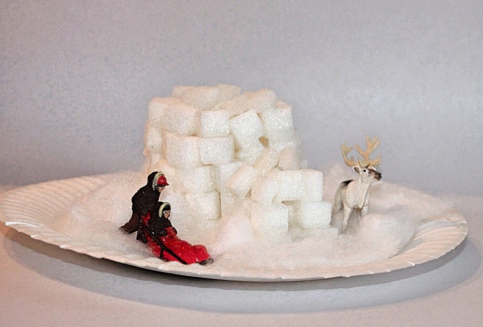 Sugar cube castles and igloos are a sweet craft.