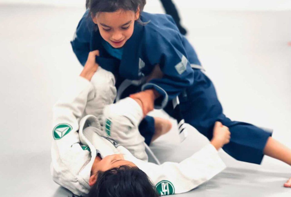 Brazilian Jiu-Jitsu Summer Camps