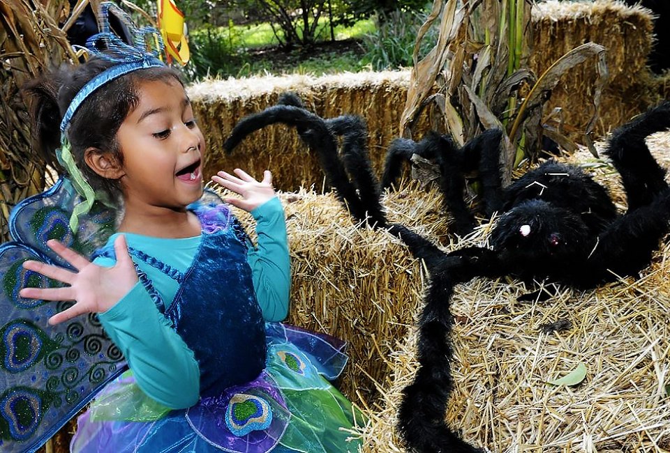Get into the Halloween spirit with Boo at the Zoo, every weekend in October at the Bronx Zoo. Photo by Julie Larsen Maher for the Wildlife Conservation Society