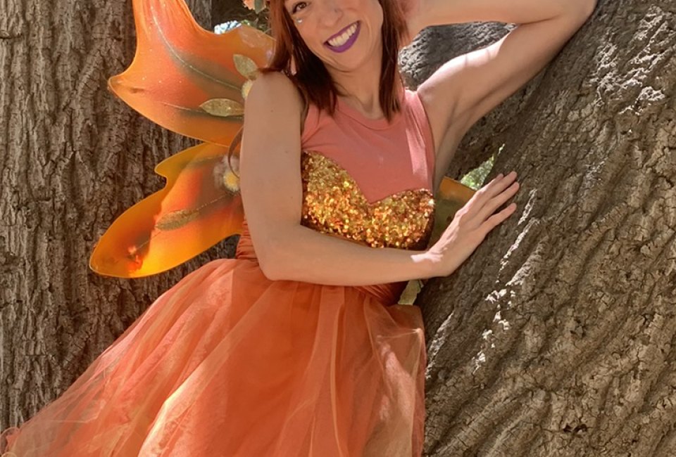 A Faery Hunt The Magical Fairies Adventure