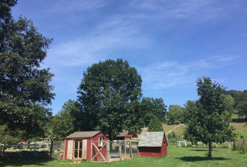Set on 777 acres in Somers, Muscoot Farm is a sweet spot to visit with young children. Photo courtesy of the farm