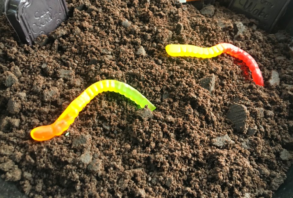 Dirt Desserts usually involve chocolate and gummy worms. 