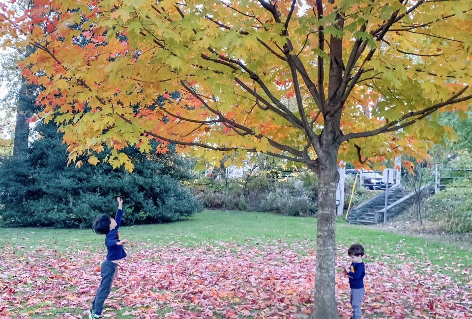 Looking for leaves, picking pumpkins, wandering through mazes....it's fall y'all! Photo by Liz Baill @creativishmom