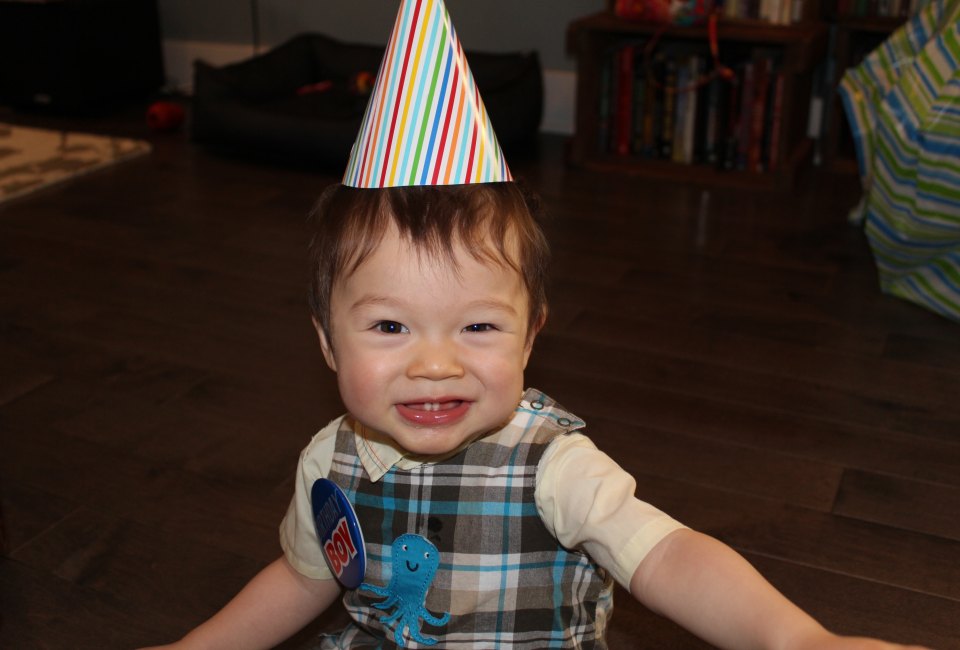 Celebrating the big first birthday with a milestone birthday party