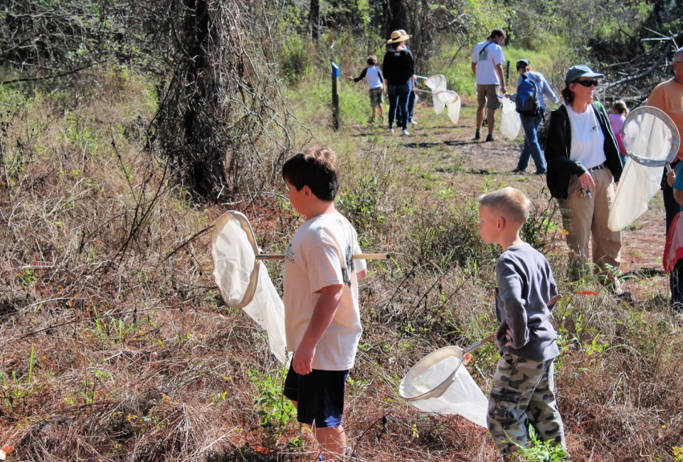 Insect Safari. Photo courtesy of Oakland Nature Preserve