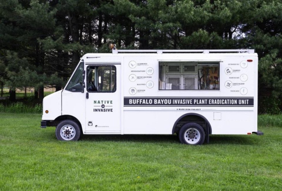 Summer Species - Invasive Plant Eradication Unit at Buffalo Bayou Park