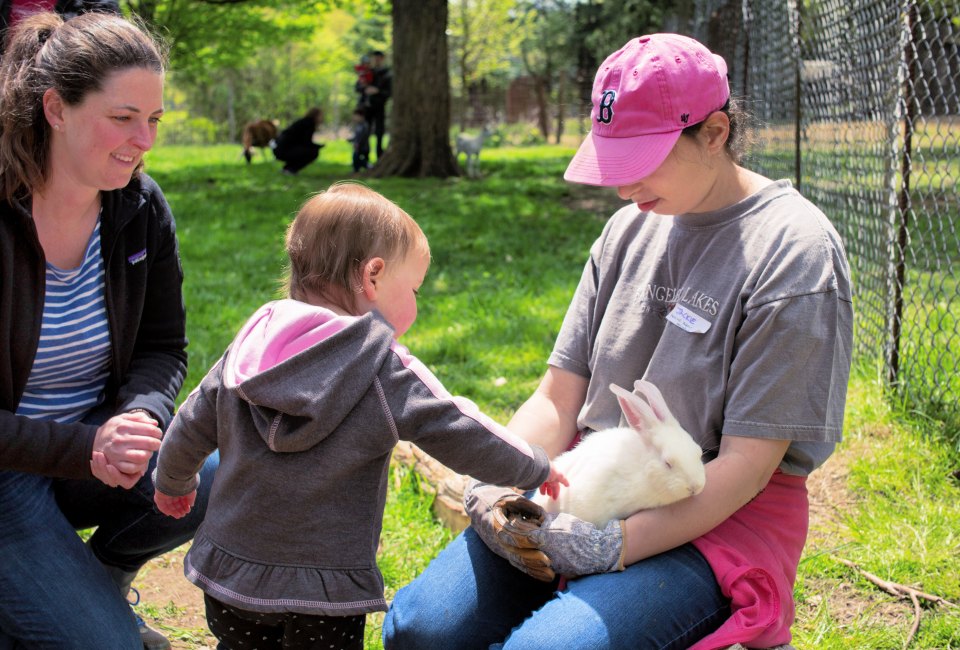 Natick Community Organic Farm's annual Spring Spectacular has lots of outdoor farm fun including meeting baby farm animals in the petting pasture. Photo by Kori Feener for NCOF