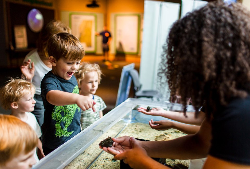 The touch tank at the Mississippi Museum of Natural Science delights kids. Photo courtesy of the museum