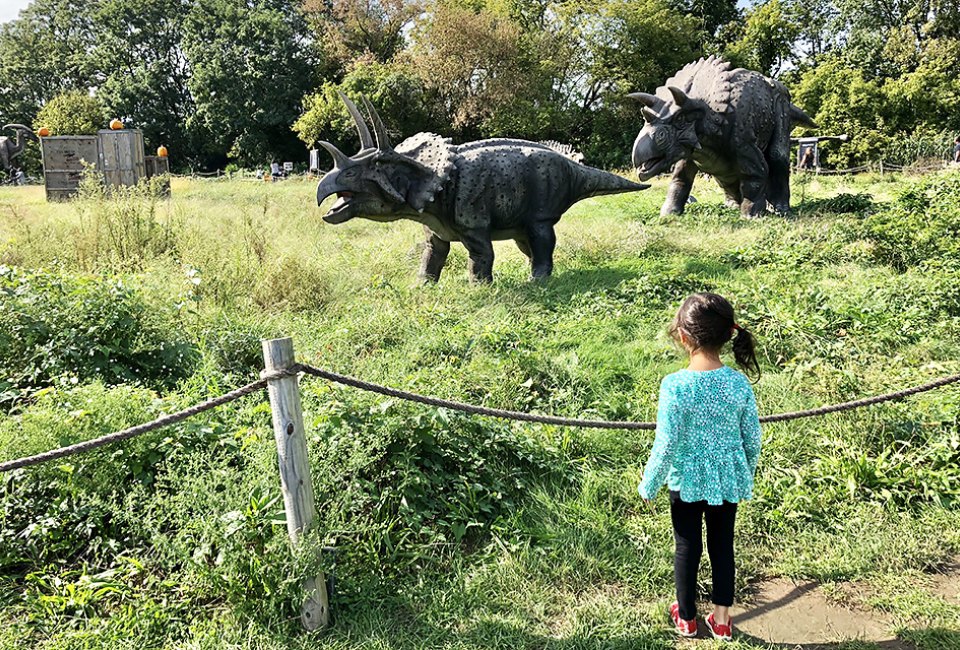 Romp with the triceratops and other dinos at Field Station: Dinosaurs in Leonia. Photo by Janet Bloom