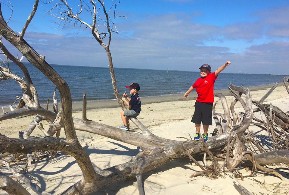 This Jekyll Island beach is filled with driftwood, hence the name: Driftwood Beach. Photo by Charlotte B