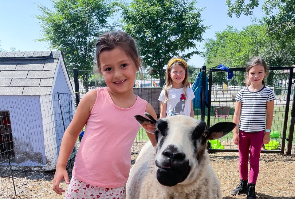 Farms near Chicago offer animal experiences and more. Photo courtesy of the Double J Riding Club