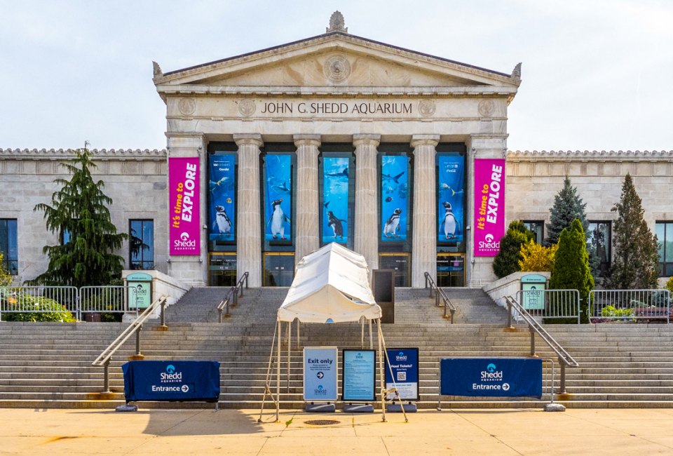 John G Shedd Aquarium photo by Ajay Suresh via Flickr (CC BY-NC-ND 2.0)