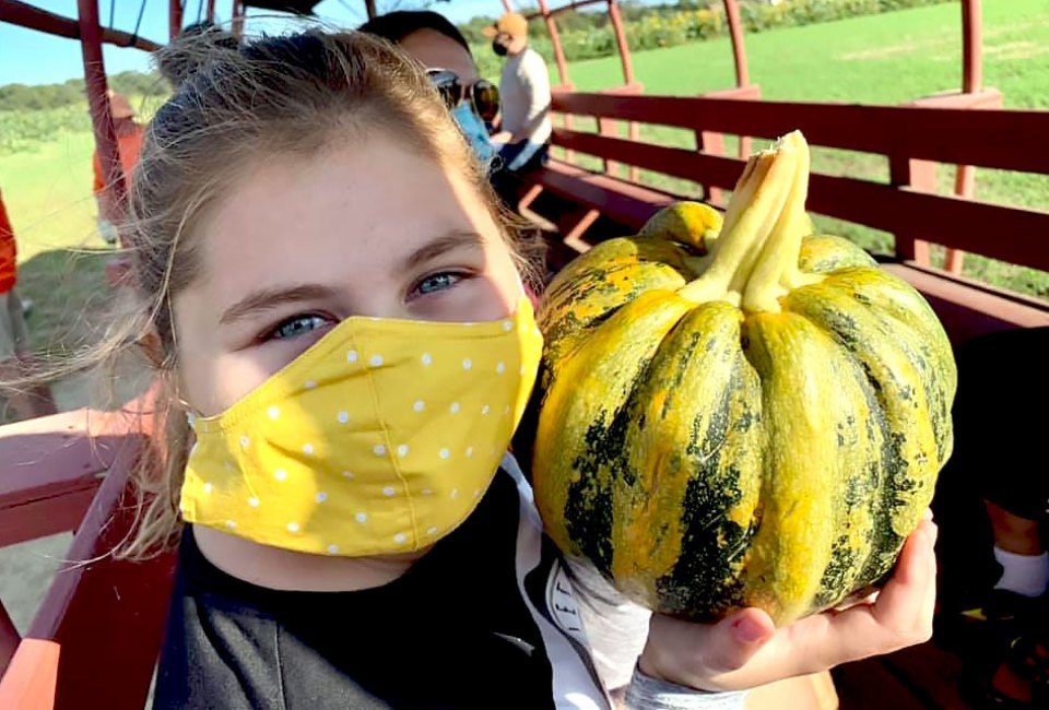 Pick pumpkins and enjoy more fall fun every weekend at Johnson's Corner Farm. Photo courtesy of the farm