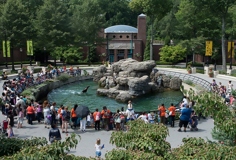 The sea lion enclosure is one of the first exhibits you'll see! Photo by Julie Larsen Maher for WCS