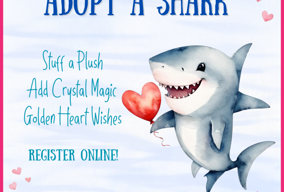 Adopt a Shark