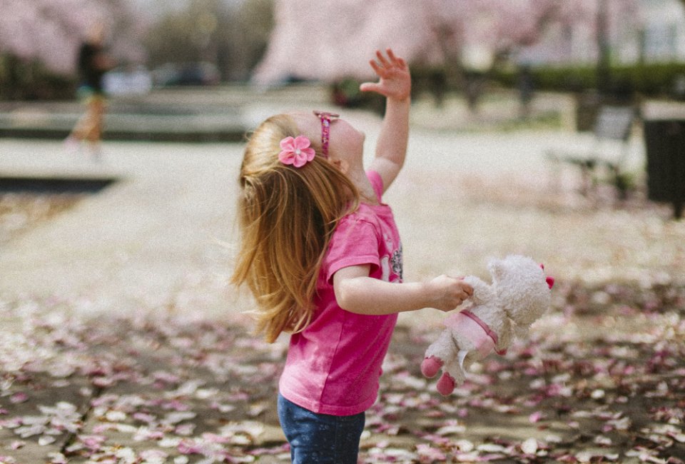 Enjoy the spring blooms. Photo courtesy of Karl Fredrickson, Unsplash