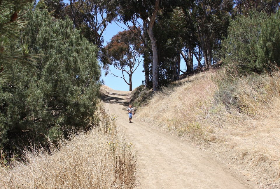 Wide trails and gentle grades are perfect for kids at Kenneth Hahn Park. Photo by Jeremy Miles/Flickr
